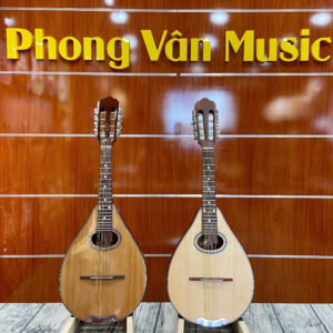 Đàn măng đô lin Phong Vân
