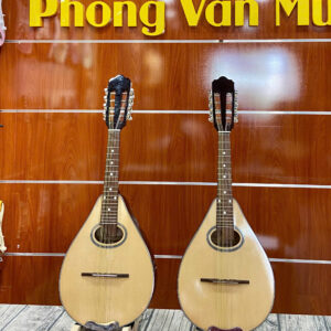 Đàn măng đô lin Phong Vân