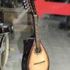Đàn mandolin gỗ ép mặt thông