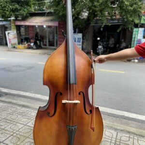 Đàn contrebasse đại hồ cầm