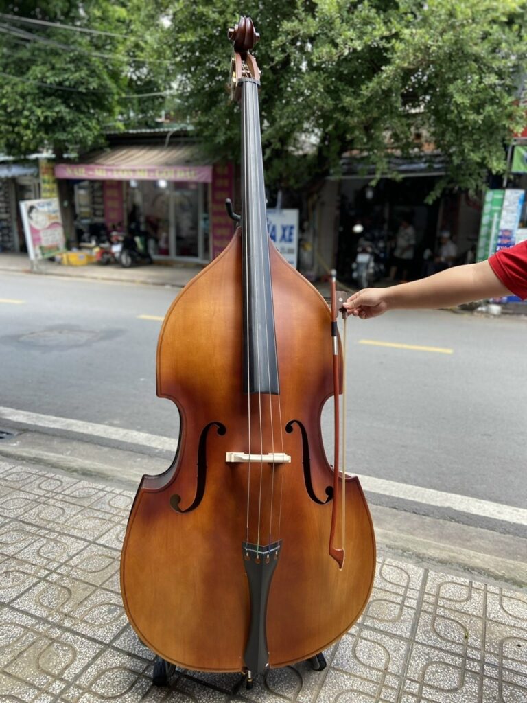 Đàn contrebasse đại hồ cầm