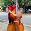 Đàn contrebasse đại hồ cầm