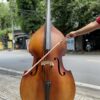 Đàn contrebasse đại hồ cầm