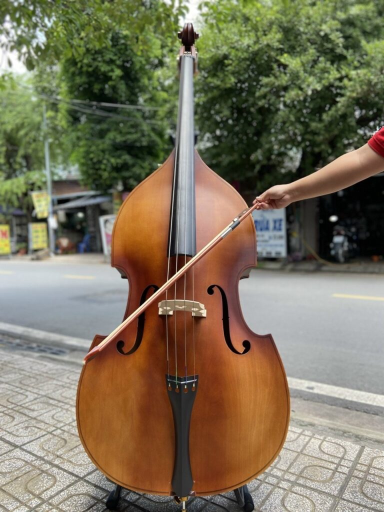 Đàn contrebasse đại hồ cầm