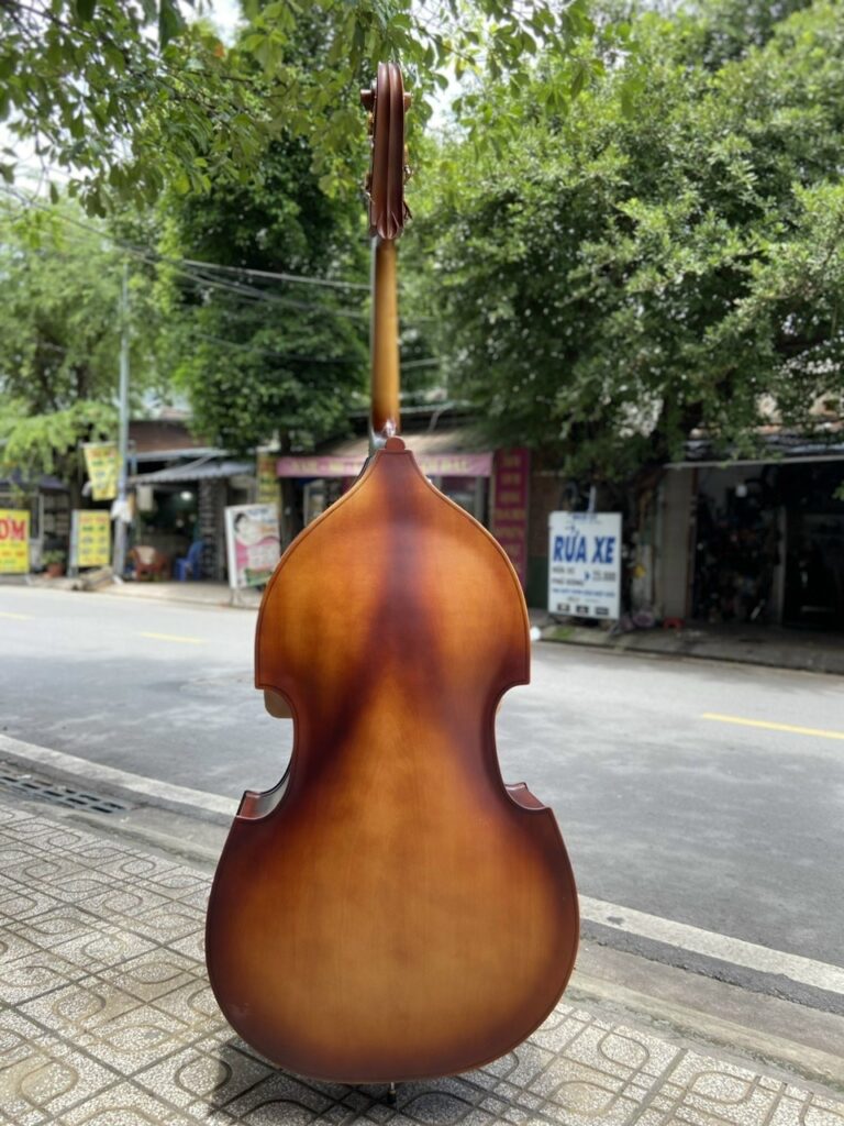 Đàn contrebasse đại hồ cầm