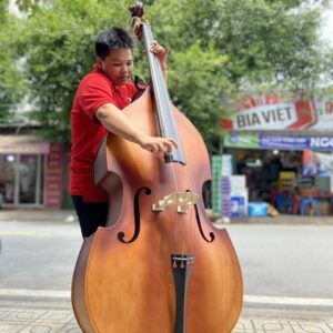 Đàn contrebasse đại hồ cầm