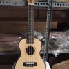 Đàn ukulele gỗ UK21