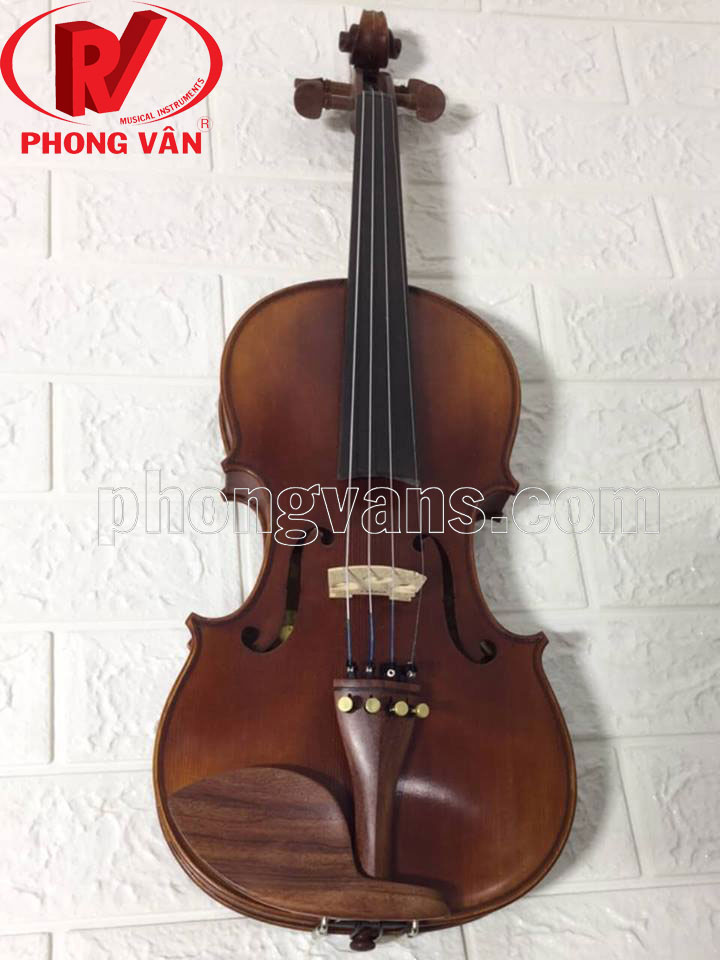 Đàn violin Scott Cao Ytv-017