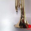 Kèn trompet Lazer vàng