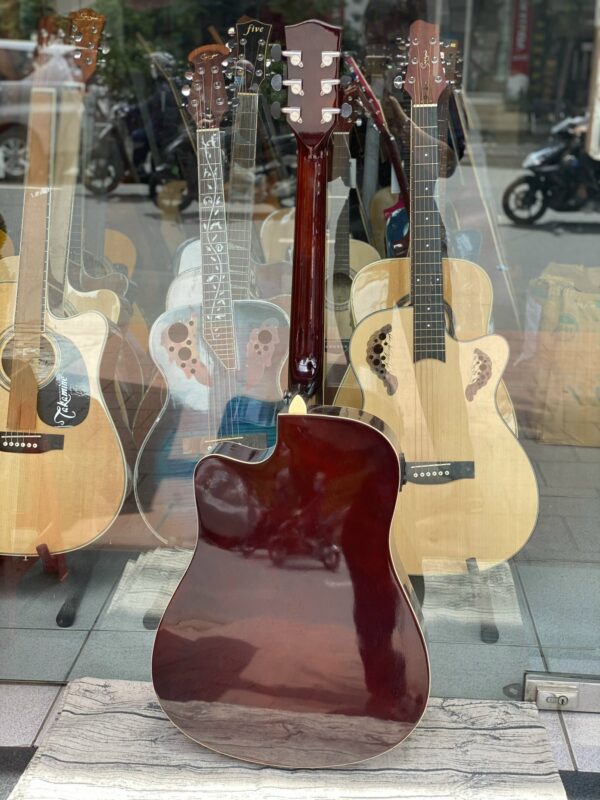 Đàn guitar acoustic SWing 501CE