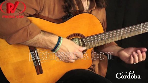 Đàn guitar Cordoba C5-CET Thinbody