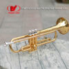 Kèn Trumpet Yamaha YTR-2330