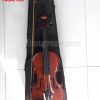 Đàn violin size 1/4 gỗ thường