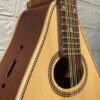 Đàn mandolin gỗ hồng đào cao cấp