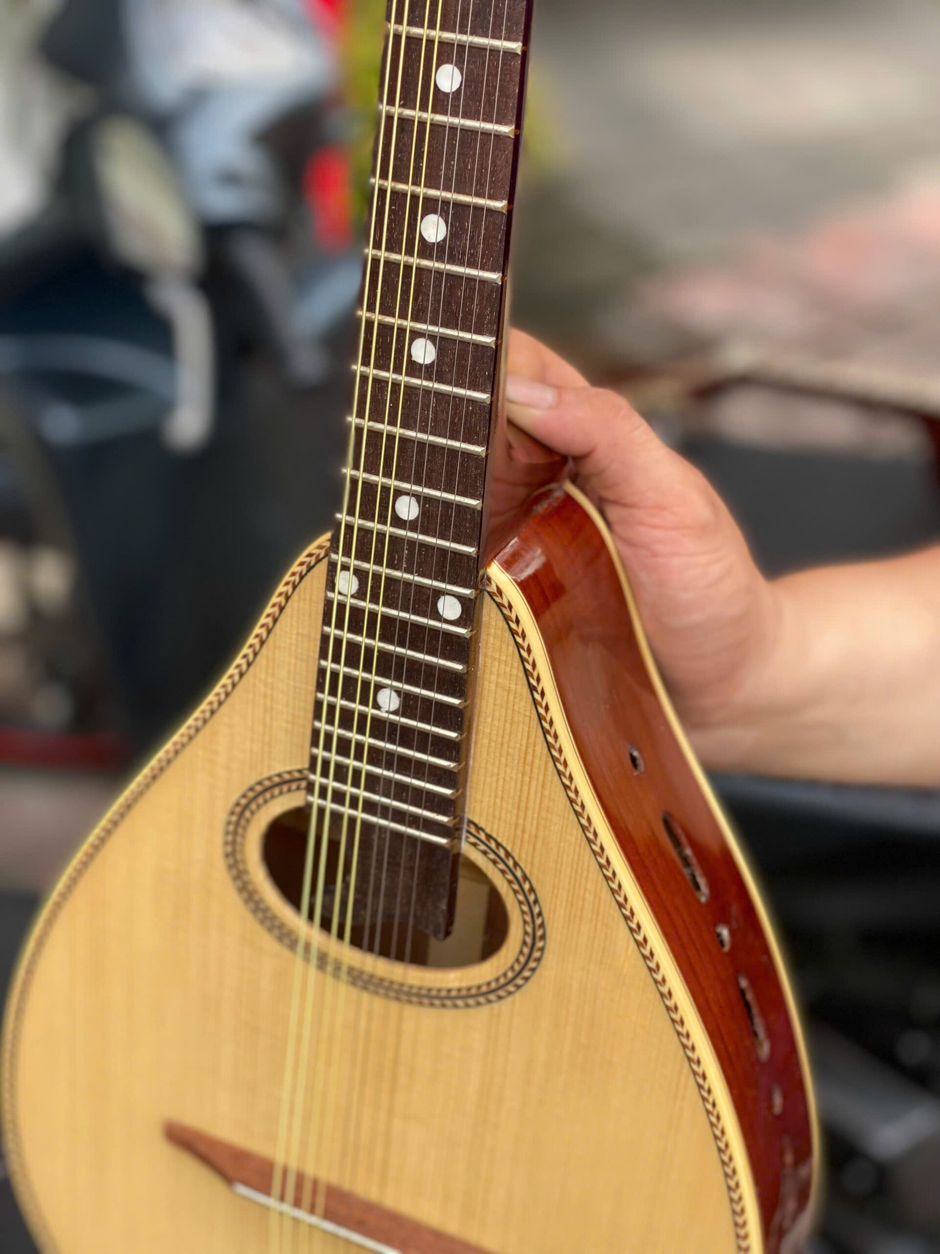 mandolin (6)