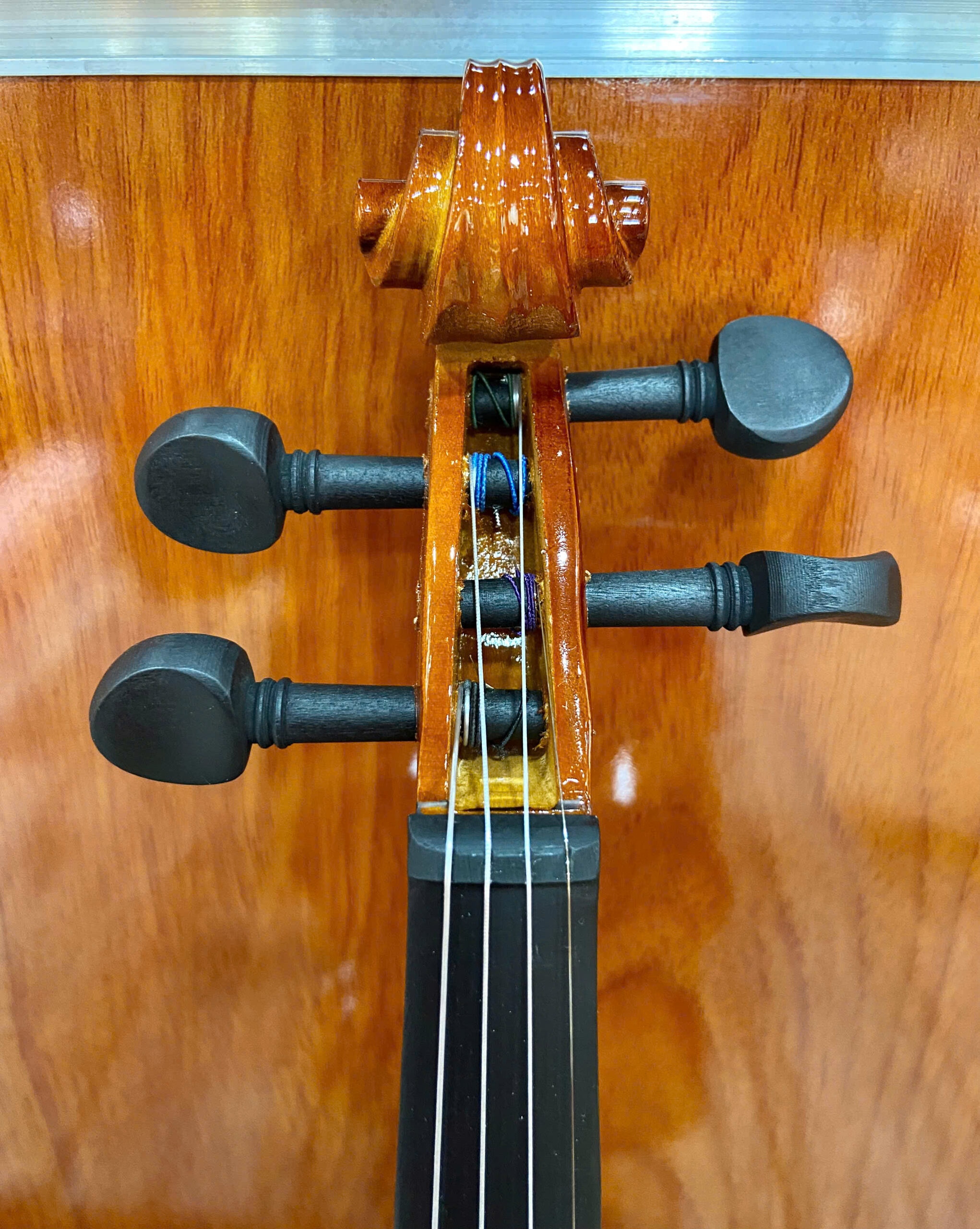 SG-V1 (5)