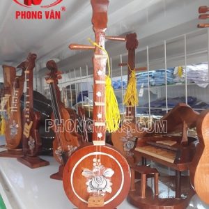 Đàn nguyệt mô hình dân tộc