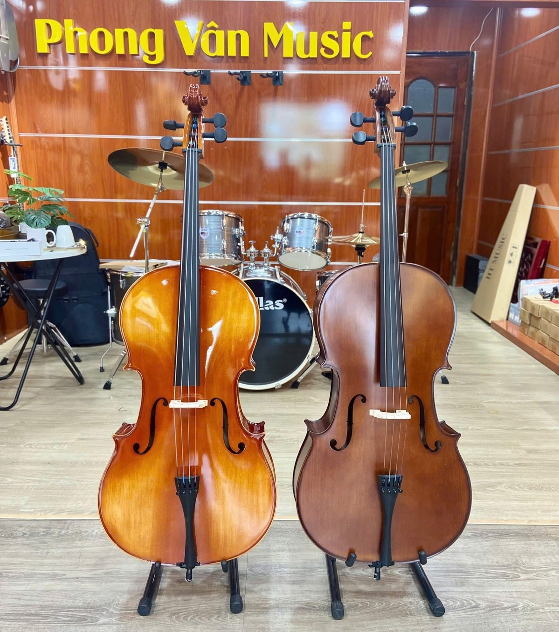 cello (1) Đàn cello Saiger 4/4 SG-CL4