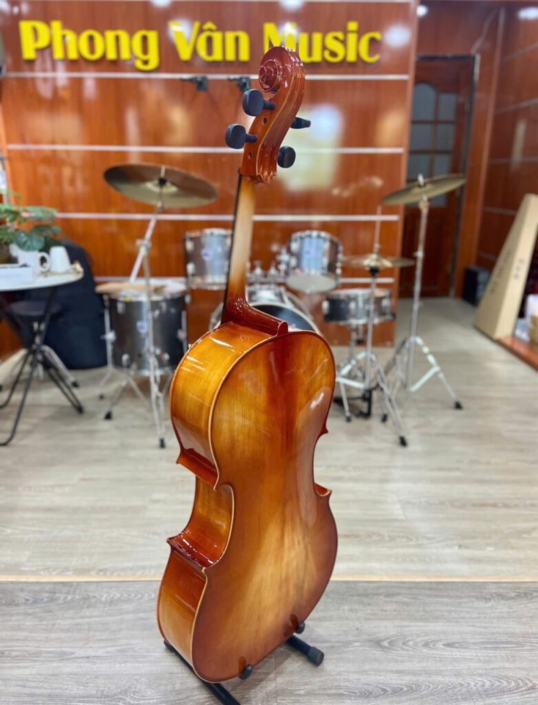 Đàn cello Saiger 4/4 SG-CL4