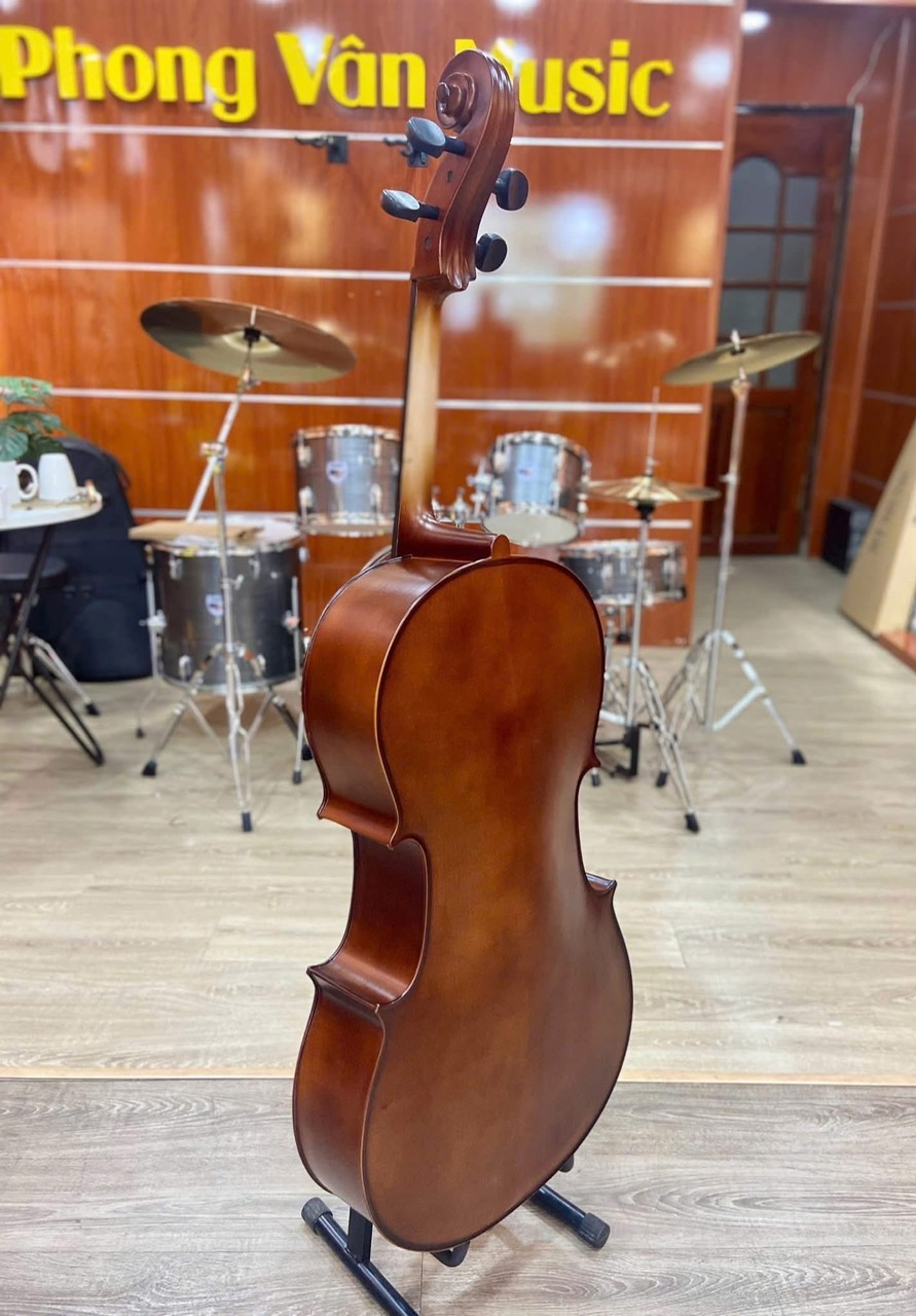 cello (5) Đàn cello Saiger 4/4 SG-CL4