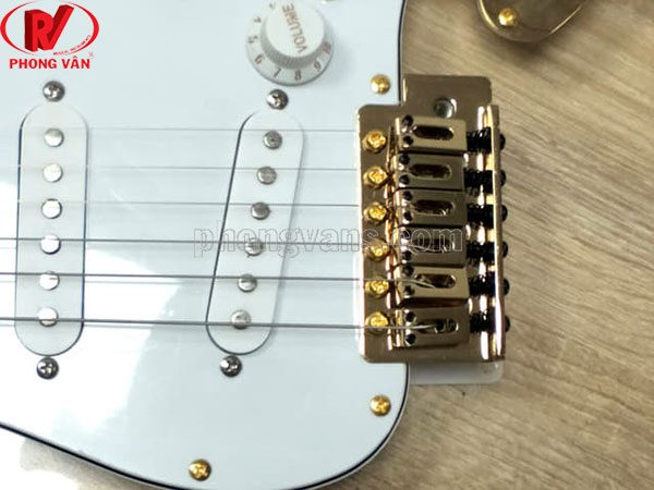 Order đàn guitar điện acrylic trong suốt