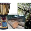 Trống vỗ tay Châu Phi djembe gỗ 10 inch