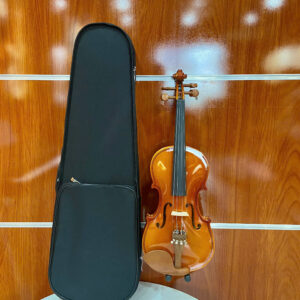 Đàn violin size 3/4 dành cho người mới học SG-V2