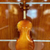 Đàn violin size 3/4 dành cho người mới học SG-V2