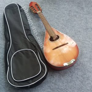 Bao đựng đàn mandolin
