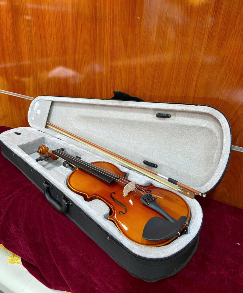 Đàn violin size 4/4 Saiger SG-V6 (Vĩ cầm)