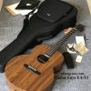 Đàn guitar acoustic Enya EA-X1 chính hãng (full phụ kiện)