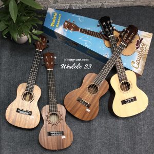 Chuyên bán sỉ ukulele giá rẻ