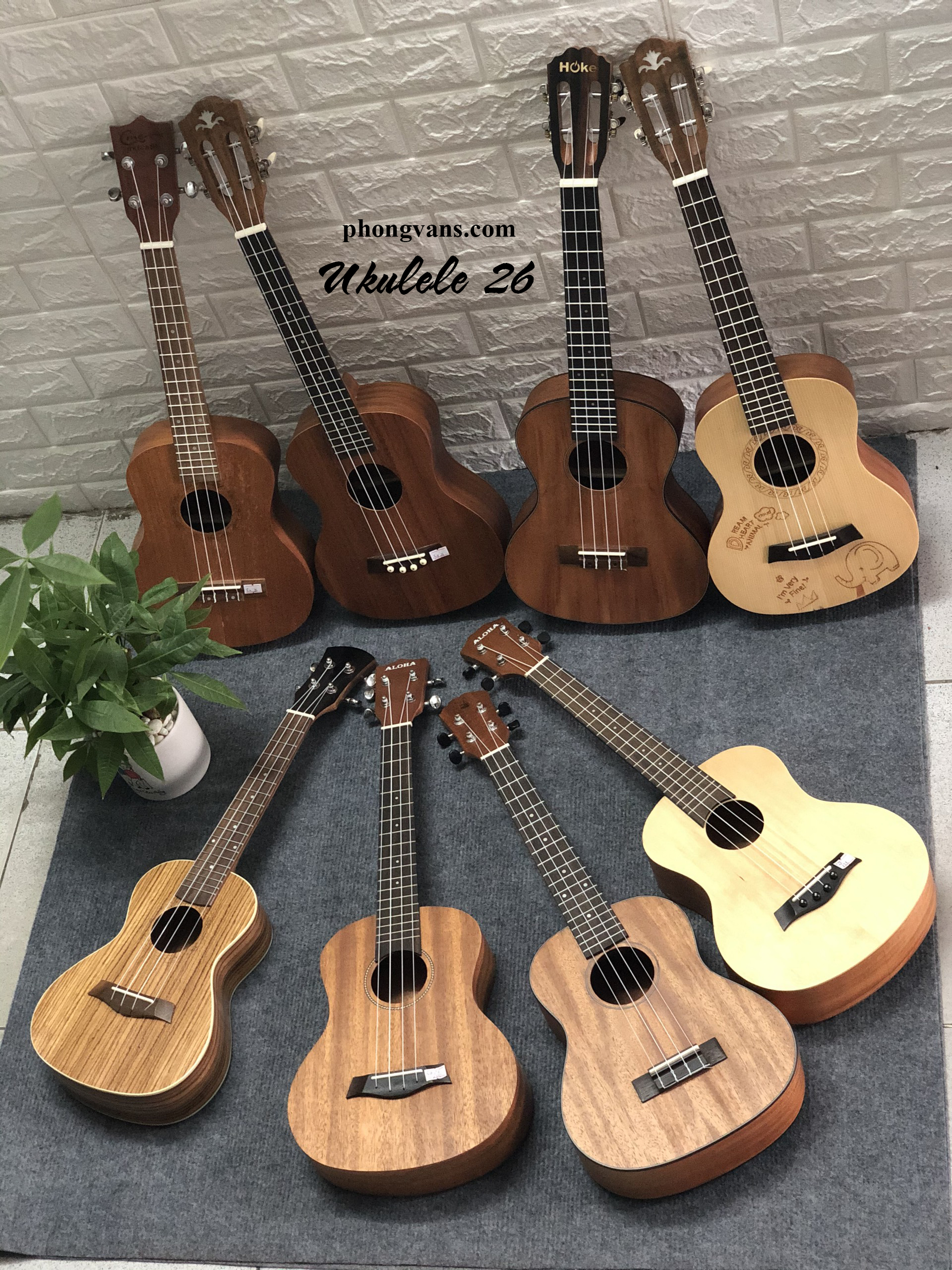 Chuyên bán sỉ ukulele giá rẻ