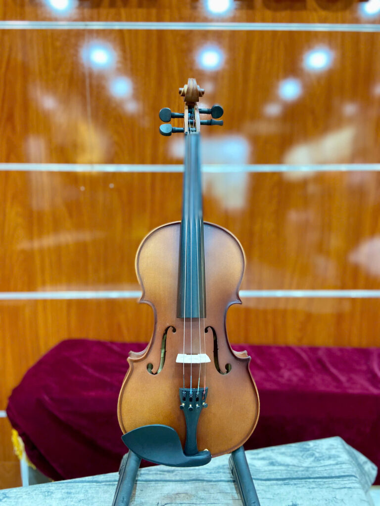 Đàn violin size 4/4 Saiger SG-V7 cao cấp