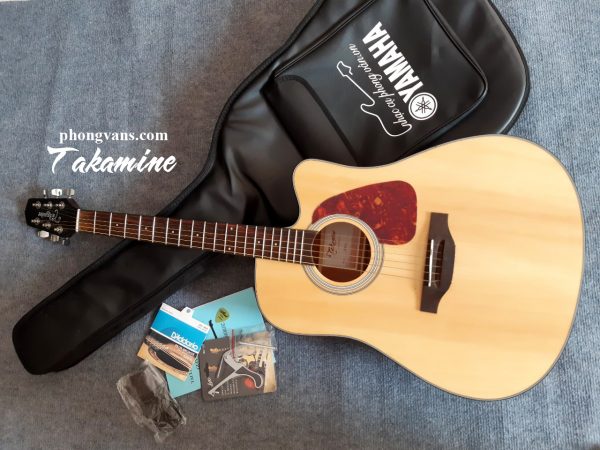 Guitar acoustic Takamine D10C