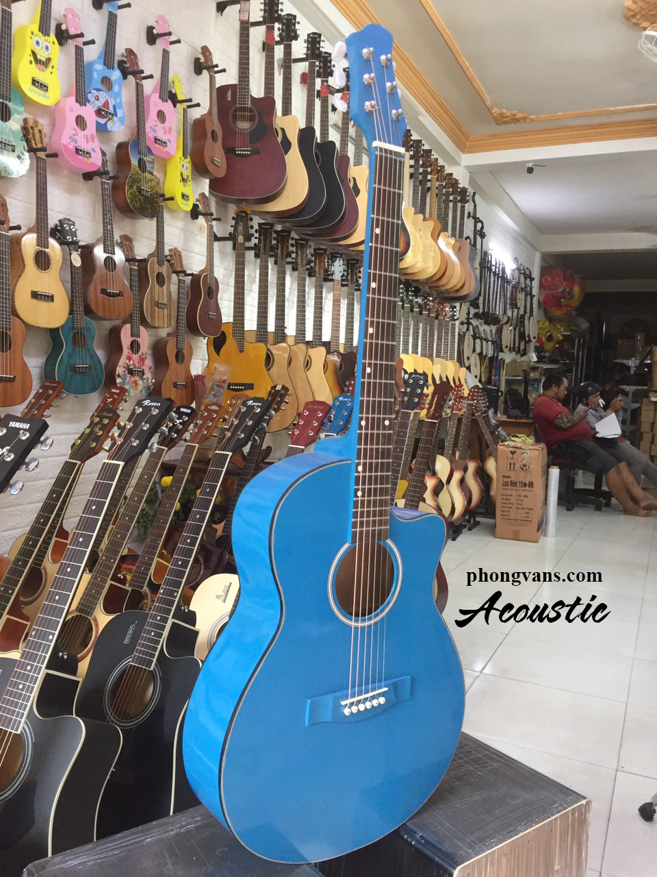 Đàn guitar acoustic Việt Nam