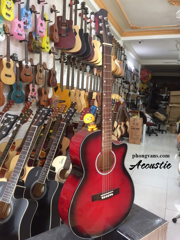 Đàn guitar acoustic Việt Nam