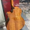 Đàn Guitar Tanglewood gỗ Koa cao cấp
