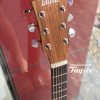 Đàn guitar acoustic Tayste TS- J35A chính hãng