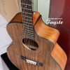 Đàn guitar acoustic Tayste TS- J35A chính hãng