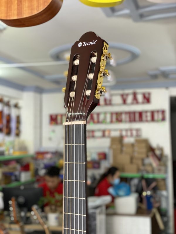 Đàn guitar classic giá rẻ