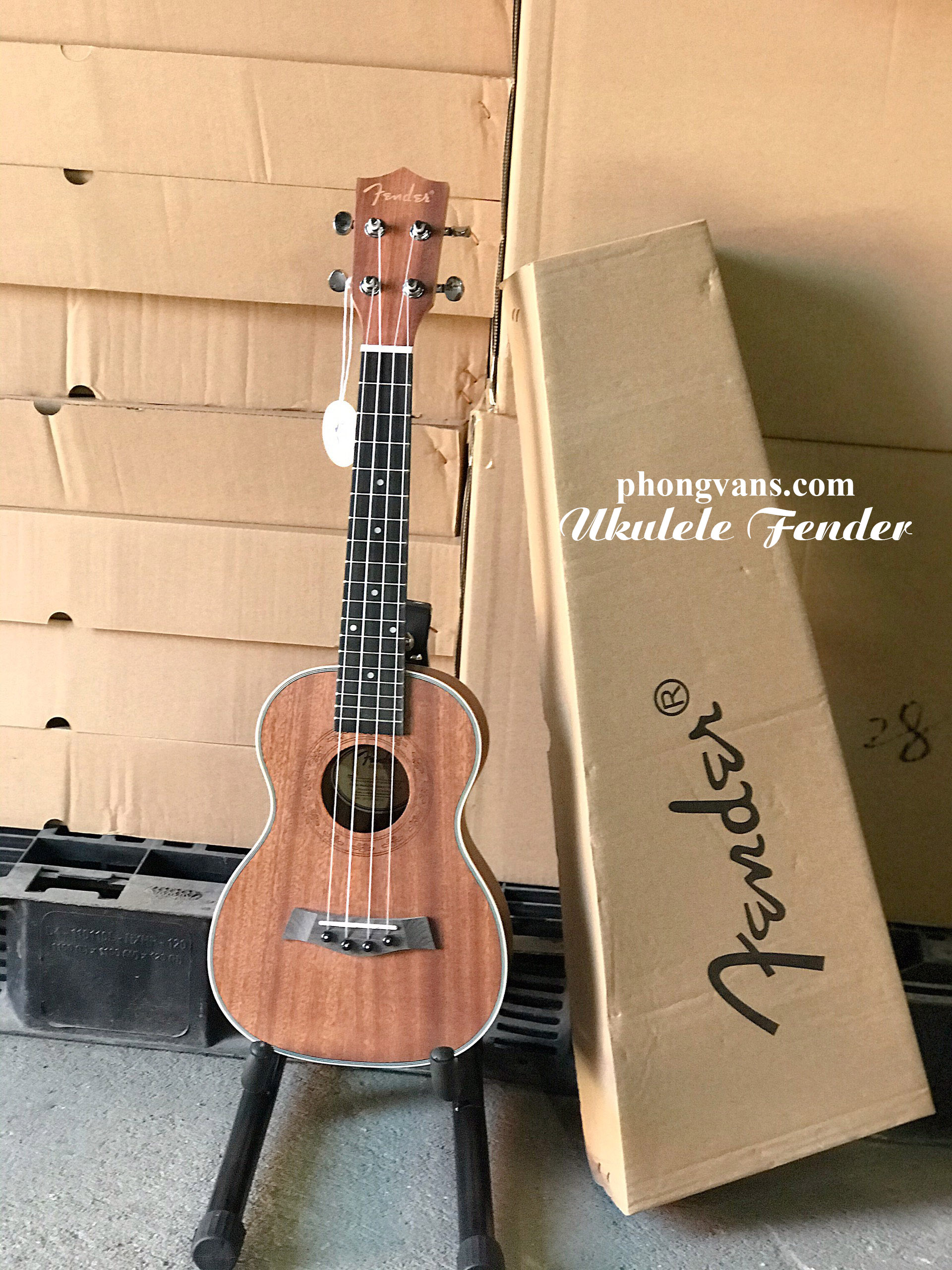 Bán sỉ ukulele Fender UK-23