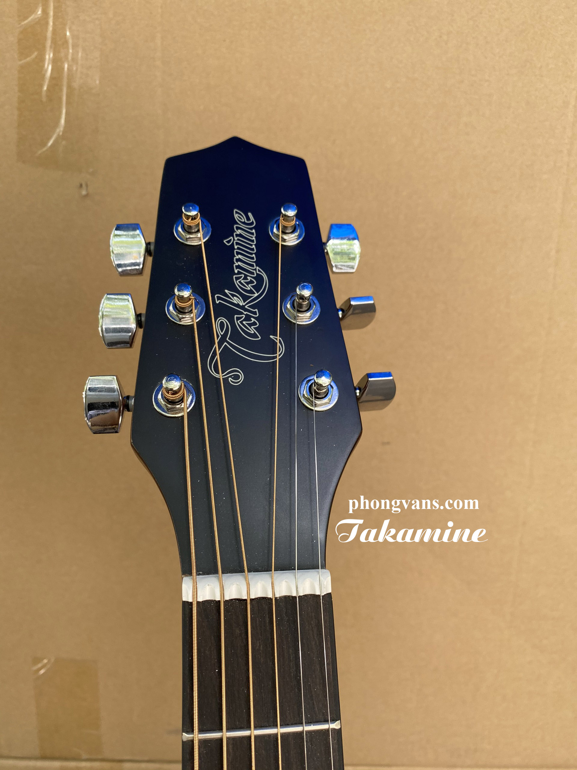 Bán sỉ guitar acoustic Takamine GD15C