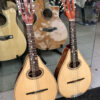 Đàn mandolin cao cấp Việt Nam