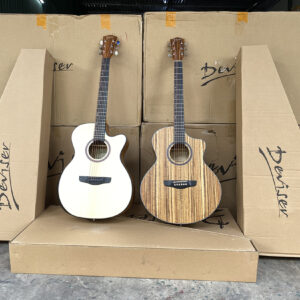 Bán sỉ đàn guitar Deviser chính hãng