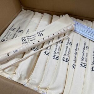 Sáo Recorder