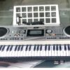 MK935 (1) MK935 (1)