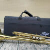 Kèn Trumpet Saiger STR-200 Vàng