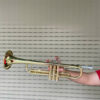 Kèn Trumpet Saiger STR-200 Vàng