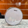 snare (1)